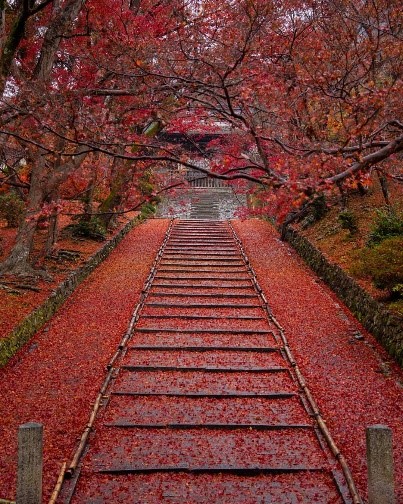 bishamondo