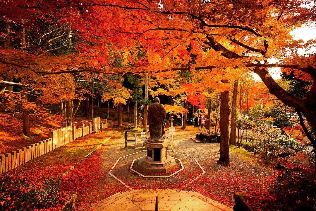 今熊野観音寺