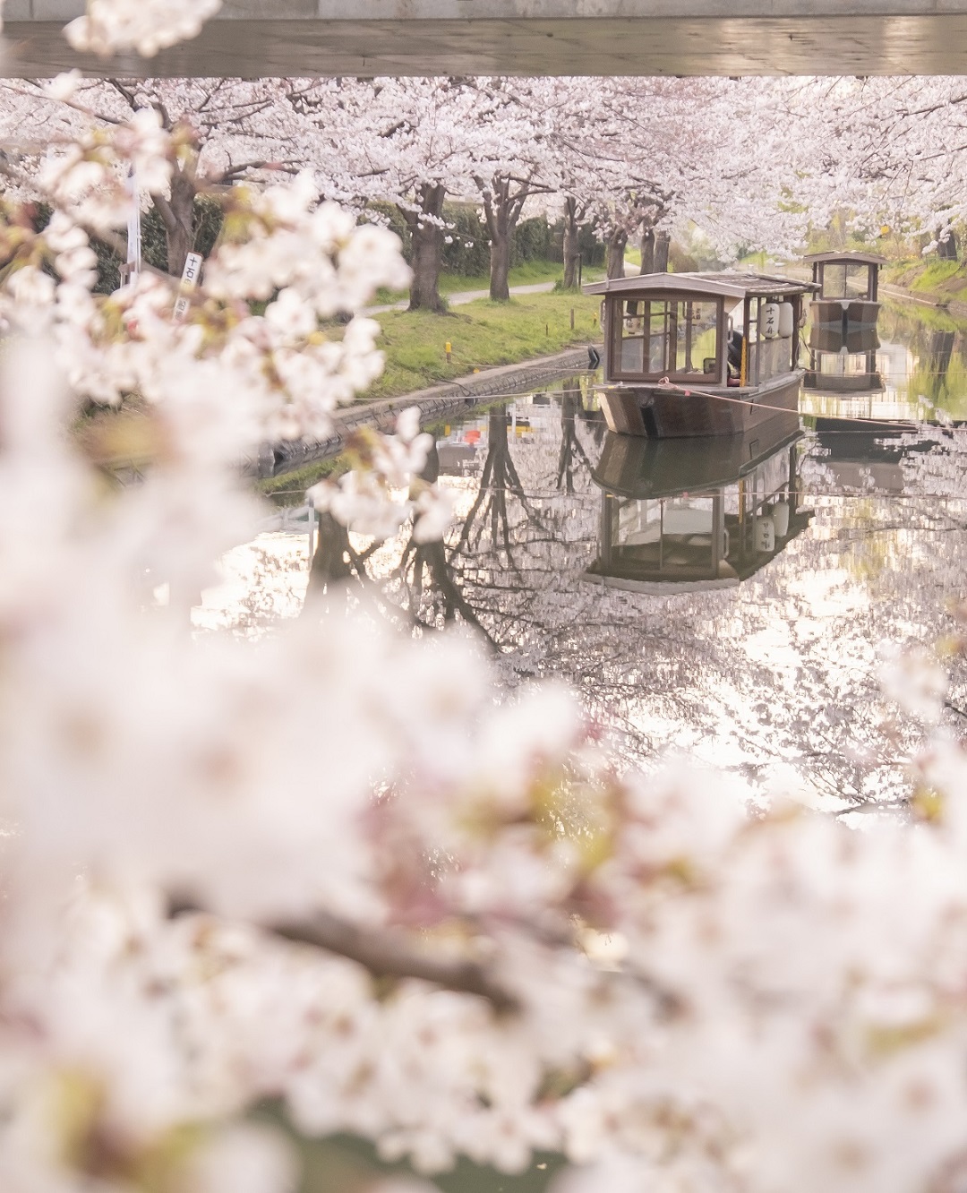 投稿写真：伏見十石舟（京都市伏見区）