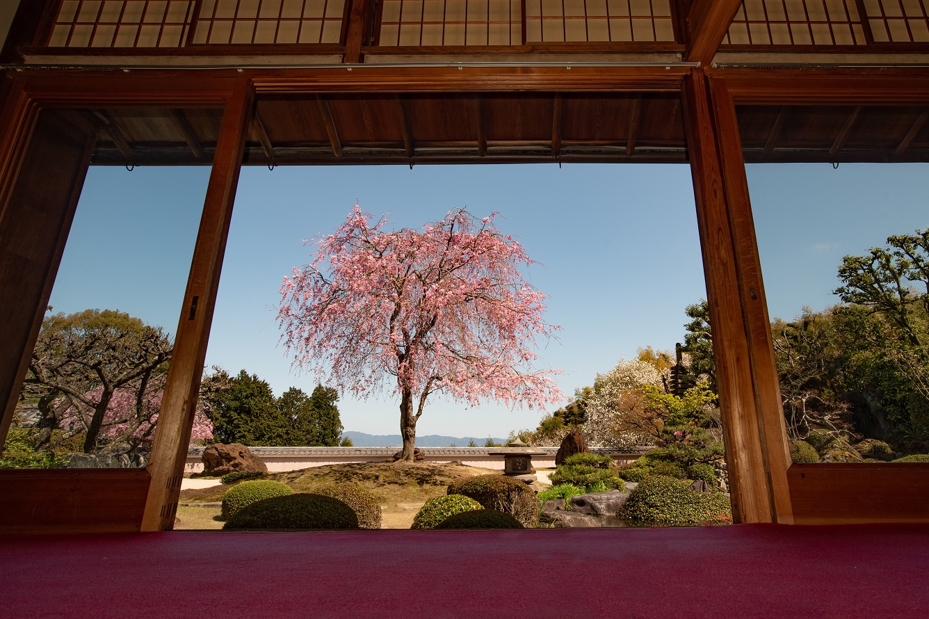 投稿写真：正法寺（京都市西京区）