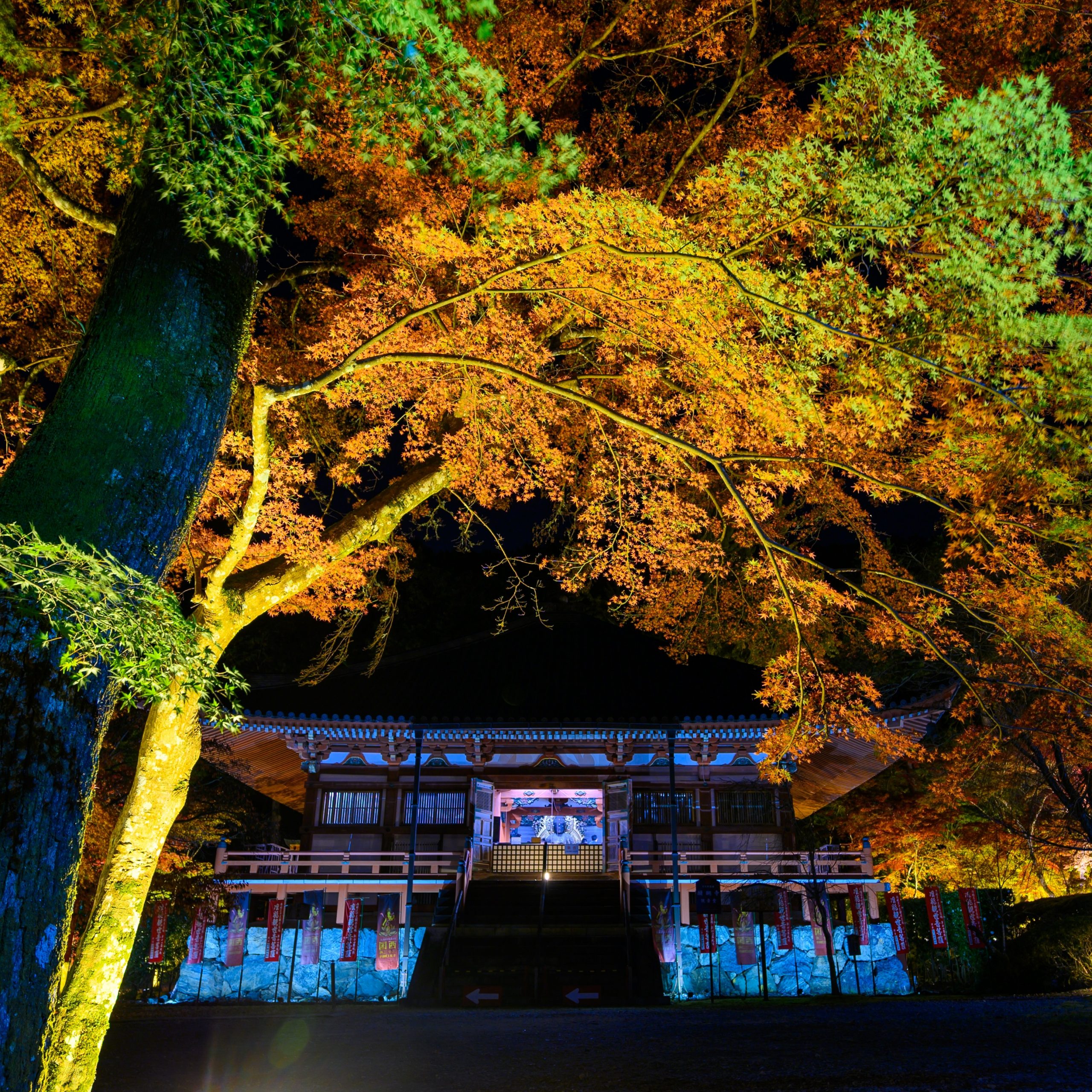 醍醐寺