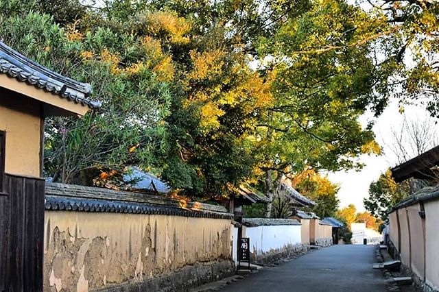 杵築市酢屋の坂（大分県 杵築市）