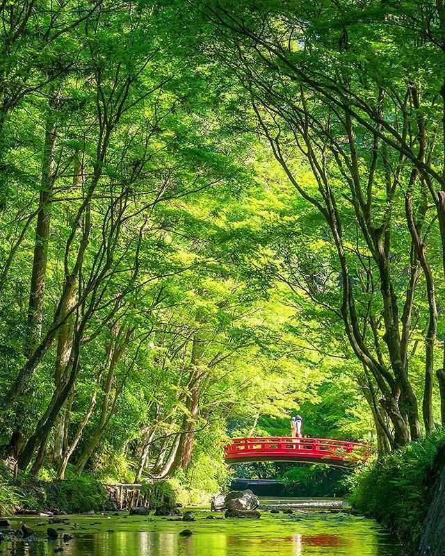 古代の森（静岡県 森町）