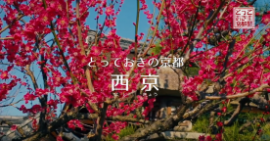 nishikyo