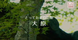 ohara