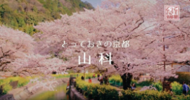 yamashina
